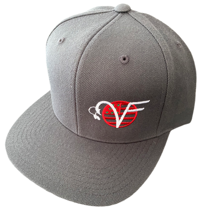 VF ‘Salty’ Snapback